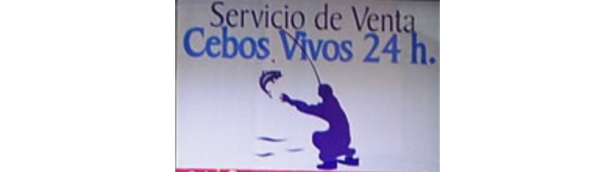 Cebos vivos 24 horas