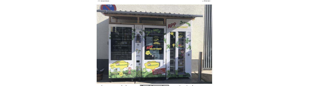Productos del campo, fruta y hortalizas nuevas